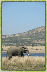 Day Safaris