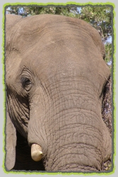 South Africa