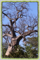 South Africa