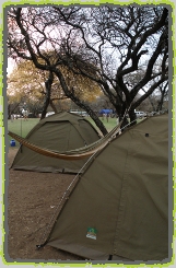 Camping Safaris