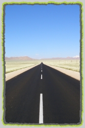 Transfers and Day Tours